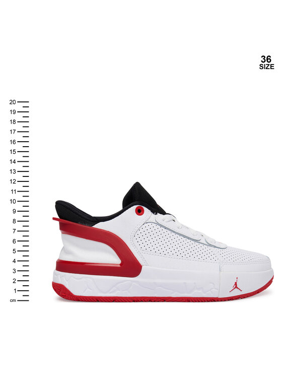 Nike Взуття для баскетболу Nike Day1 E.O. (GS) FQ1306 102 Білий