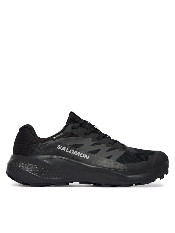 Salomon Взуття для бігу Salomon Alphaglide Gtx W L49214400 Cиній