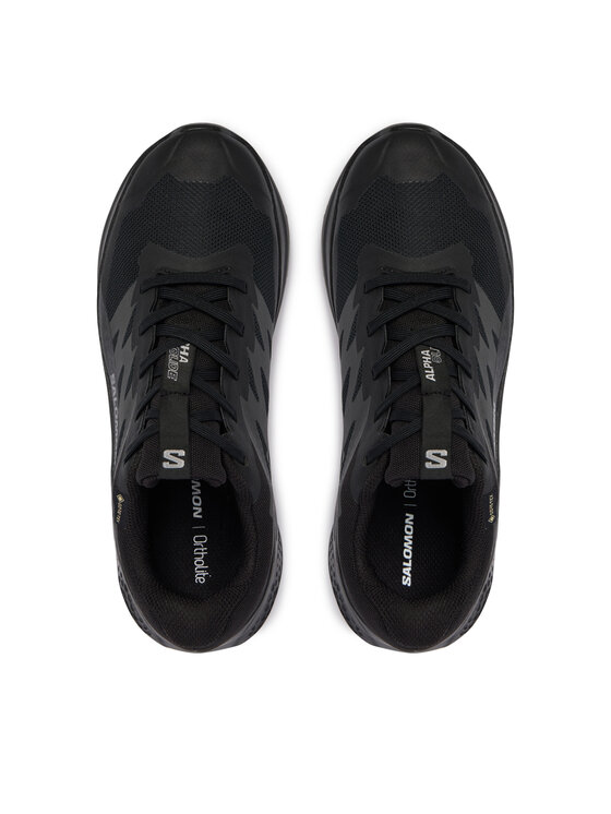 Salomon Взуття для бігу Salomon Alphaglide Gtx W L49214400 Cиній