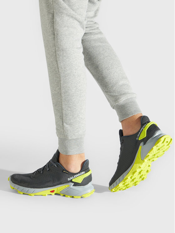 Salomon Pantofi pentru alergare Salomon Alphacross 4 Gtx GORE-TEX 470667 26 V0 Gri