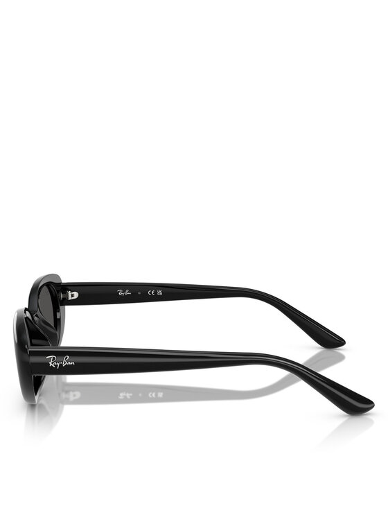 Ray-Ban Ochelari de soare Ray-Ban 0RB4441D 66778753 Negru