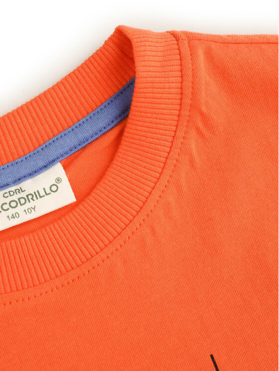 Coccodrillo Coccodrillo Camiseta WC5143204VBD Naranja Regular Fit