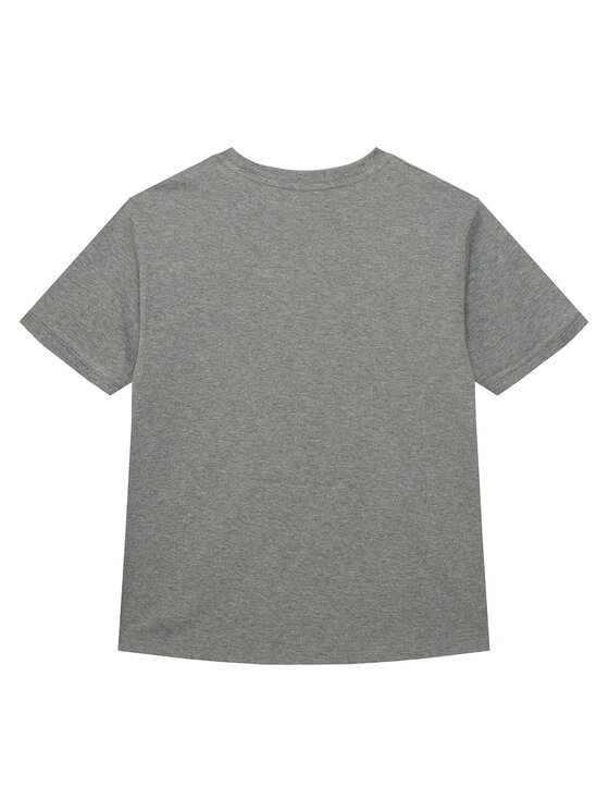 Calvin Klein Jeans Calvin Klein Jeans Camiseta LVCKTJA41B Gris Regular Fit