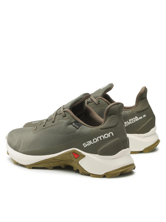 Salomon Маратонки за бягане Salomon Alphacross 3 Gtx GORE-TEX 416002 Зелен