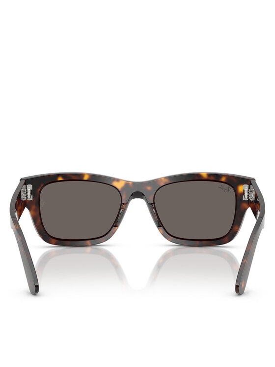 Ray-Ban Сонцезахисні окуляри Ray-Ban 0RB7683S Коричневий