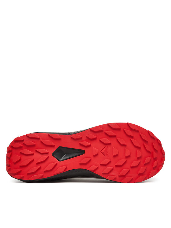 Salomon Взуття для бігу Salomon Alphaglide L48000800 Сірий