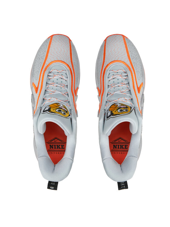 Nike Basketbalové topánky Nike DH1537-004 Sivá