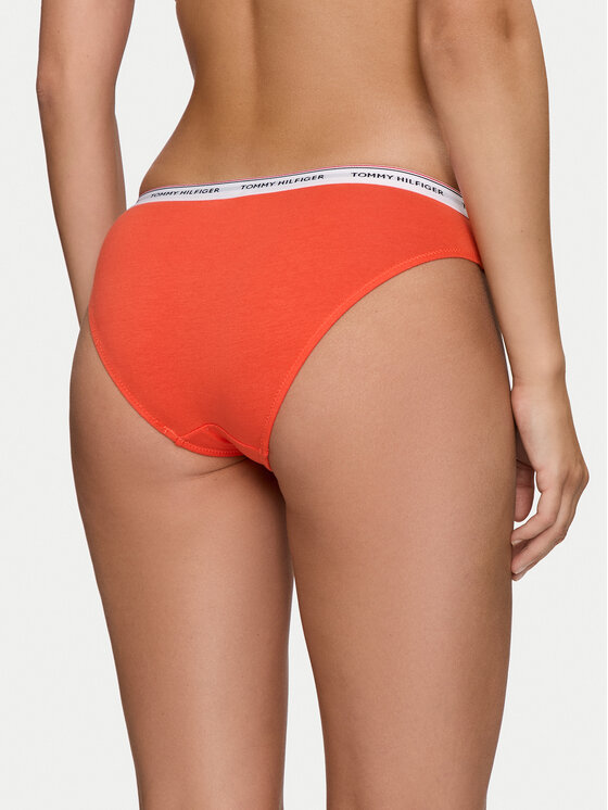 Tommy Hilfiger Tommy Hilfiger Fazonos bugyi szett UW0UW04895 Színes