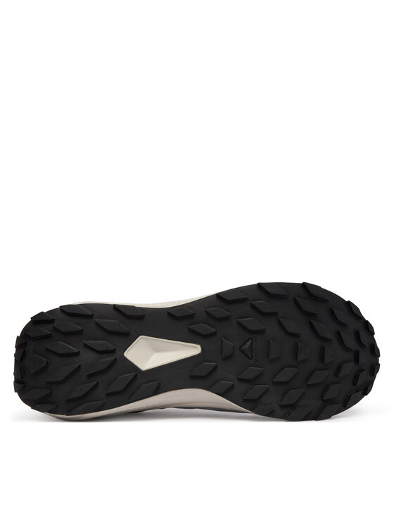 Salomon Взуття для бігу Salomon Alphaglide Gore-Tex L47975300 Сірий