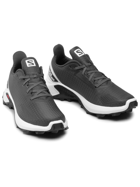 Salomon Взуття для бігу Salomon Alphacross Blast W 411038 21 V0 Сірий