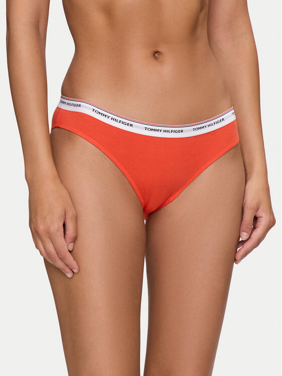 Tommy Hilfiger Tommy Hilfiger Klasikinių kelnaičių komplektas UW0UW04895 Spalvota