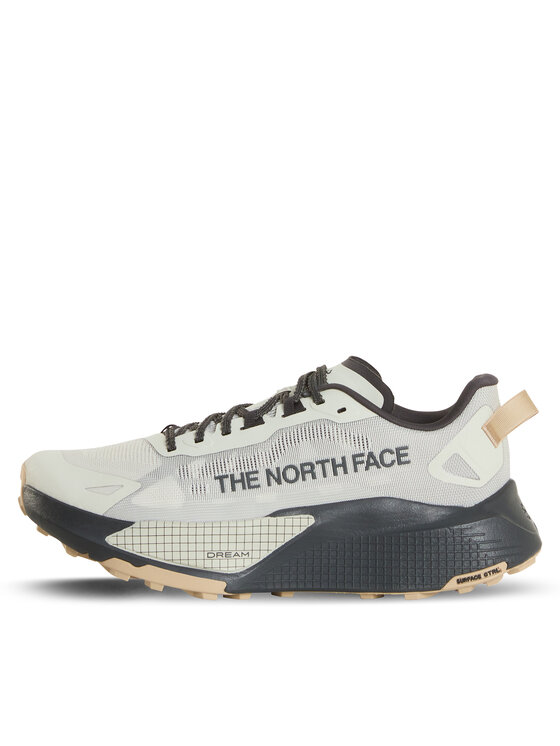 The North Face Zapatillas de running The North Face Altemesa 500 V2 NF0A8DAJTFL1 Gris