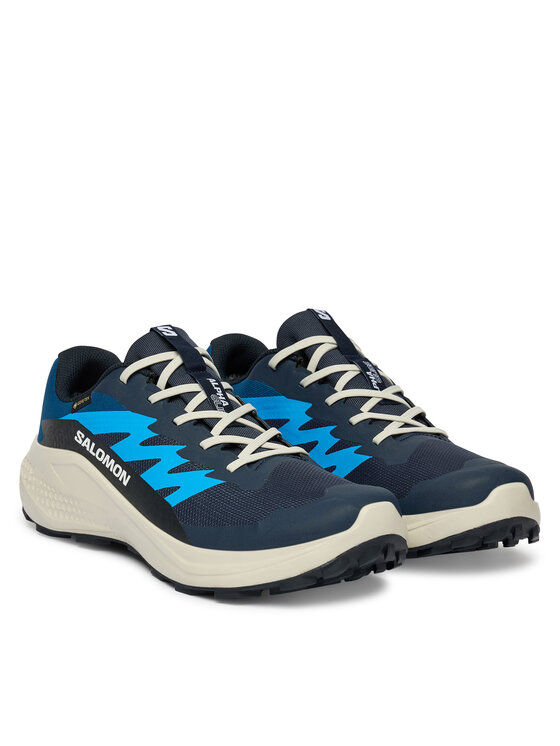 Salomon Взуття для бігу Salomon Alphaglide Gtx L47975100 Голубий