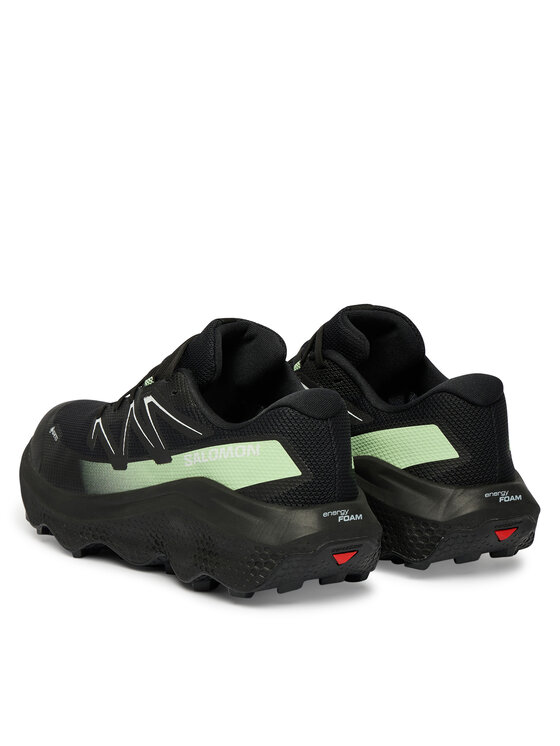 Salomon Взуття для бігу Salomon Ultra Flow 2 Gtx L47981400 Чорний