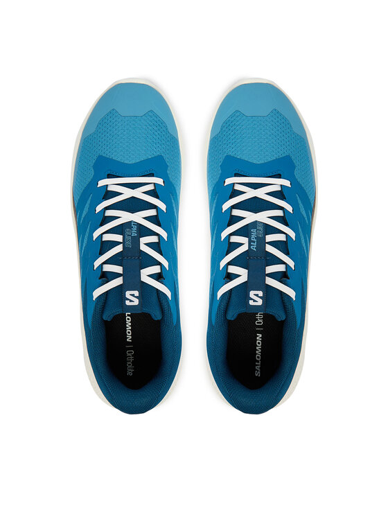 Salomon Взуття для бігу Salomon Alphaglide L48000400 Голубий