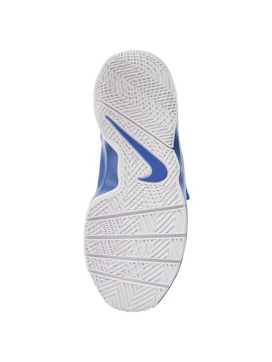 Nike Kosárlabda cipők Nike Team Hustle D 8 (GS) 881941 405 Sötétkék