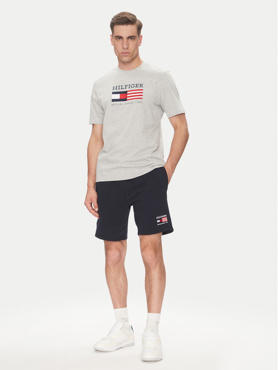 Tommy Hilfiger Tommy Hilfiger T-shirt American Monotype MW0MW39843 Grigio Regular Fit