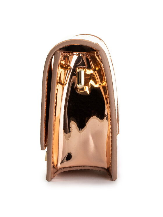 Elisabetta Franchi Ročna torba Elisabetta Franchi BS-41A-98E2-V199 Roza