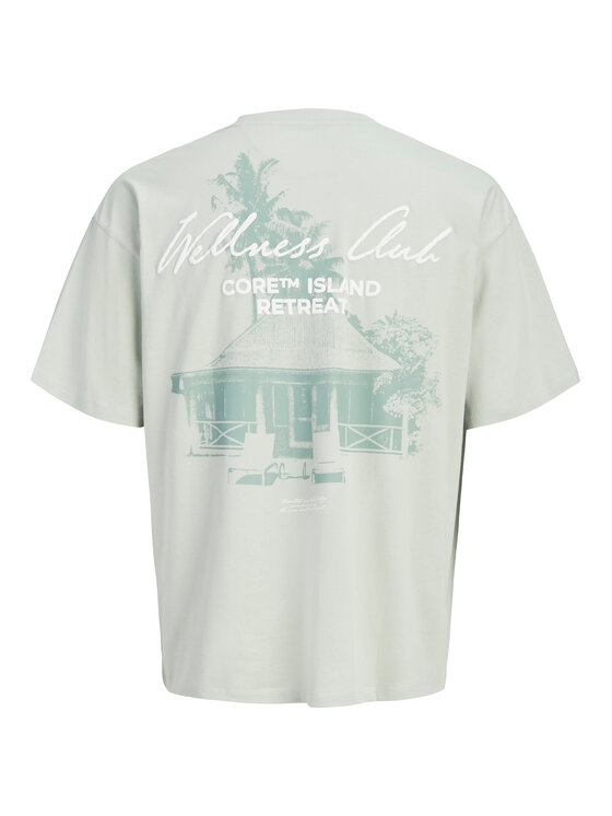 Jack & Jones Jack & Jones Marškinėliai Eterna 12295544 Šviesiai žalia Loose Fit