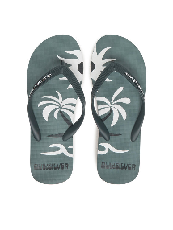 Quiksilver Žabky Quiksilver Molokai Screen AQYL101427 Zelená