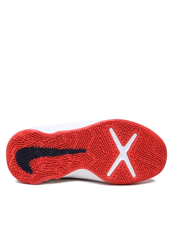 Nike Krepšinio batai Nike Team Hustle D 10 (Gs) CW6735 103 Pilka