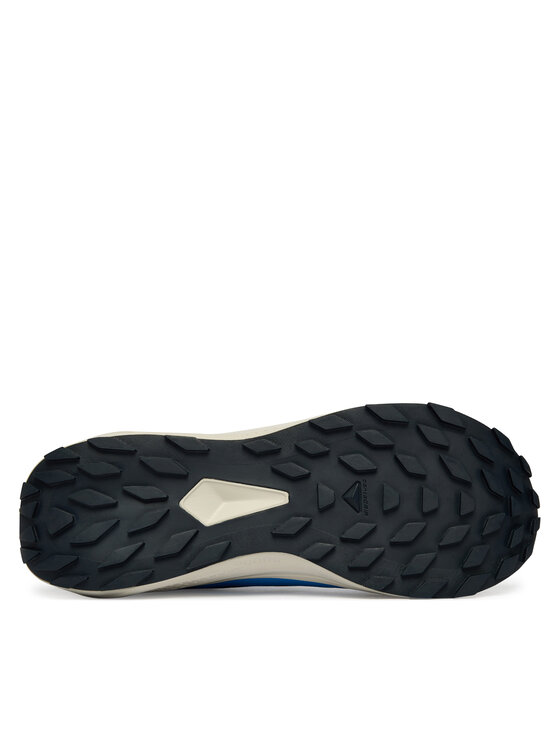 Salomon Взуття для бігу Salomon Alphaglide Gtx L47975100 Голубий