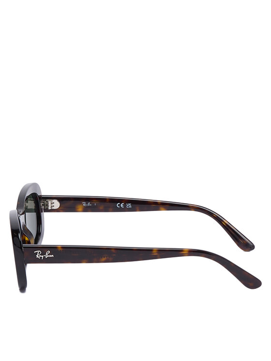 Ray-Ban Gafas de sol Ray-Ban 0RB2221 Marrón