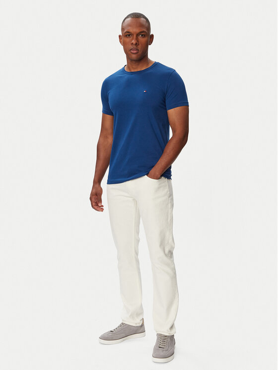 Tommy Hilfiger Tommy Hilfiger Camiseta MW0MW10800 Azul Regular Fit