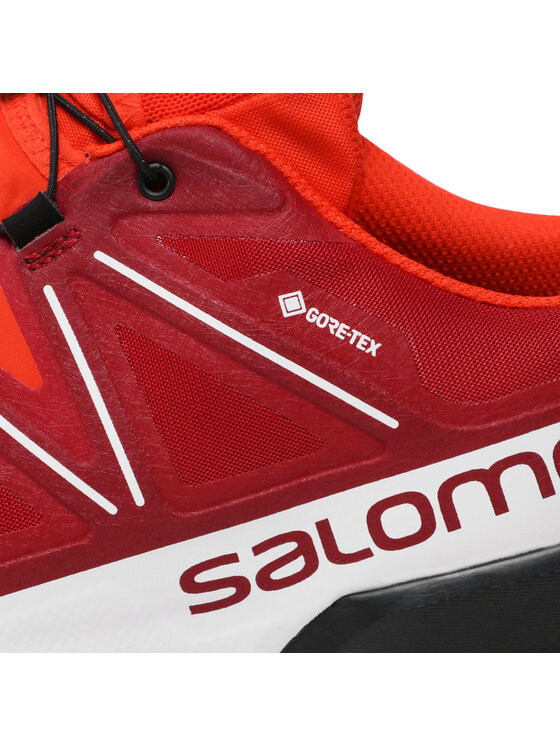 Salomon Взуття для бігу Salomon Speedcross 5 Gtx GORE-TEX 416125 38 V0 Червоний