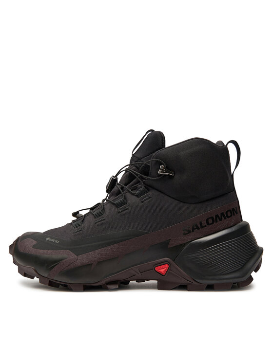 Salomon Trekkingi Salomon Cross Hike Mid Gtx 2 W GORE-TEX L41731000 Czarny