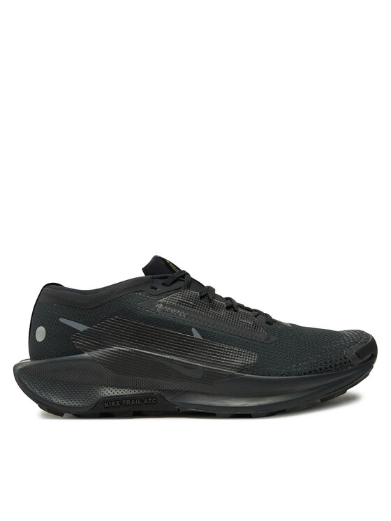 Nike Bėgimo batai Nike Pegasus Trail 5 Gtx GORE-TEX FQ0908 002 Juoda