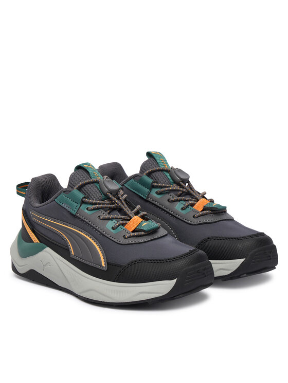 Puma Zapatillas Puma Evolve 2.0 Trail Lo Ps 313805 Gris