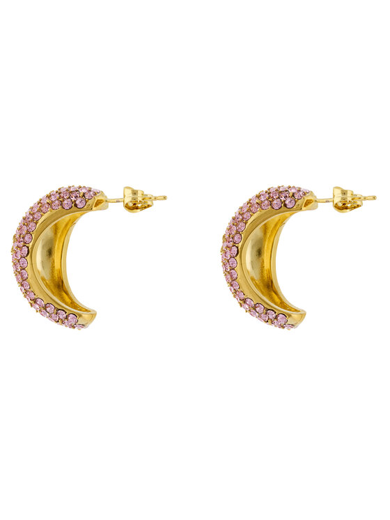 Elisabetta Franchi Сережки Elisabetta Franchi OR-44M-51E2-V250 Рожевий