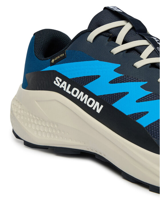 Salomon Взуття для бігу Salomon Alphaglide Gtx L47975100 Голубий