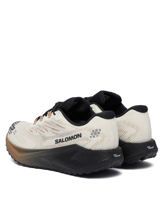 Salomon Scarpe running Salomon Aero Blaze 4 gtx GORE-TEX L45403200 Beige