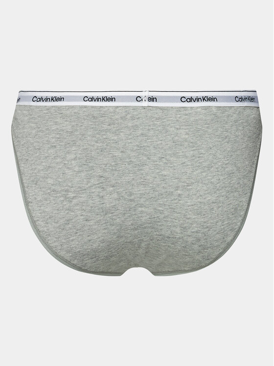 Calvin Klein Underwear Calvin Klein Underwear Klašične gaćice 000QD5215E Siva