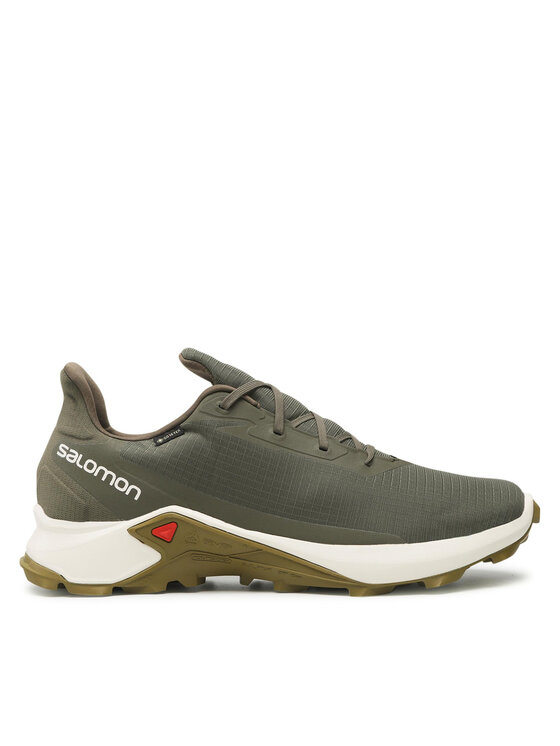 Salomon Skriešanas apavi Salomon Alphacross 3 Gtx GORE-TEX 416002 Zaļš