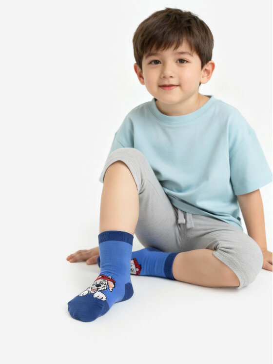 Paw Patrol Дълги чорапи Paw Patrol CEO-ACCCS-AW25-330PAW(3-PACK) Син