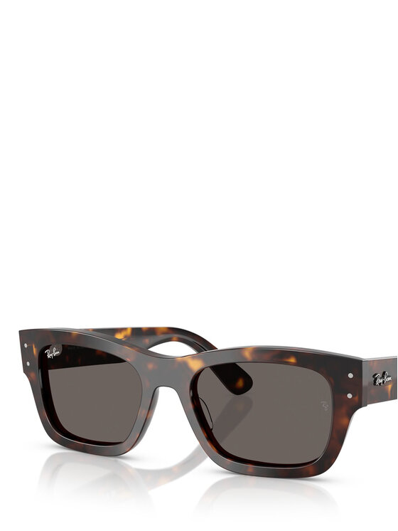 Ray-Ban Сонцезахисні окуляри Ray-Ban 0RB7683S Коричневий