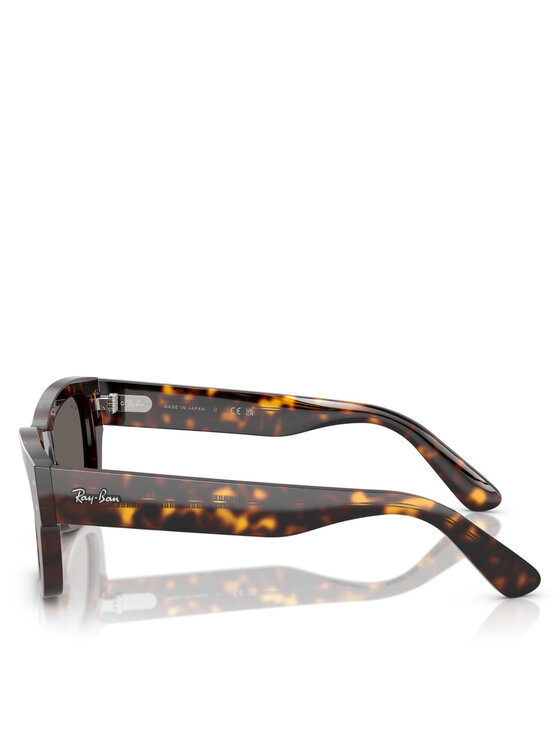 Ray-Ban Сонцезахисні окуляри Ray-Ban 0RB7683S Коричневий