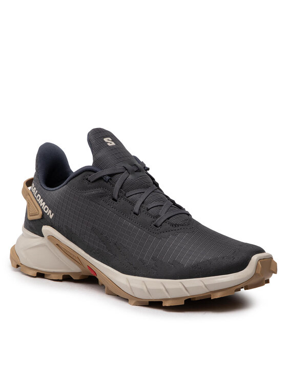 Salomon Взуття для бігу Salomon Alphacross 4 417241 29 W0 Сірий