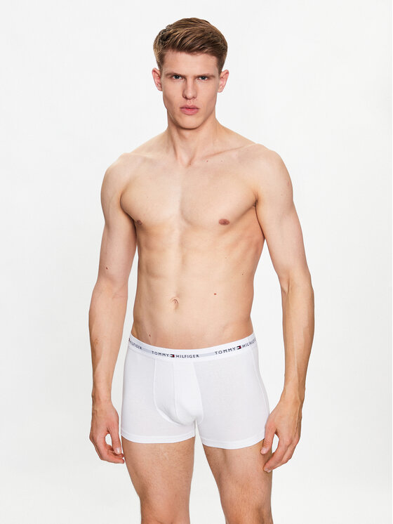 Tommy Hilfiger Tommy Hilfiger Set bokserica﻿ UM0UM02761 Šarena