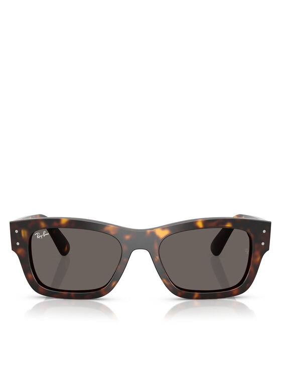Ray-Ban Сонцезахисні окуляри Ray-Ban 0RB7683S Коричневий