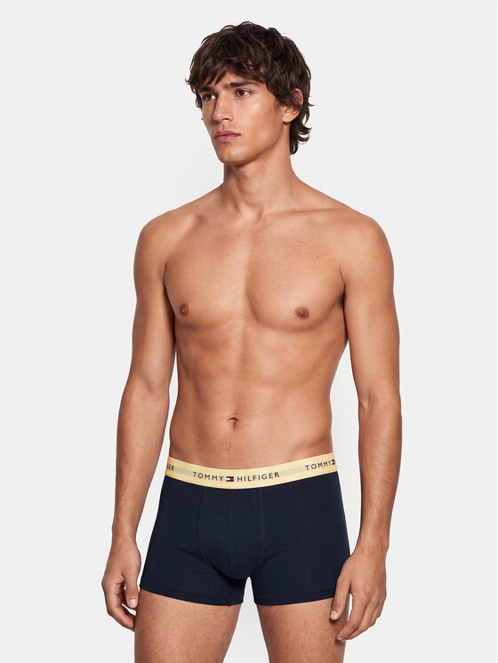 Tommy Hilfiger Tommy Hilfiger Conjunto de calzoncillos boxer UM0UM03893 Negro