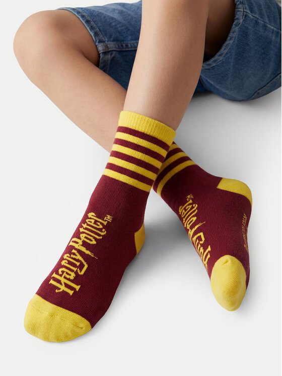 Harry Potter Довгі шкарпетки Harry Potter CEO-ACCCS-AW26-308WBHP(3-PACK) Чорний