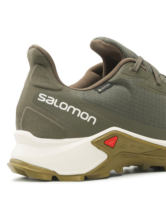 Salomon Маратонки за бягане Salomon Alphacross 3 Gtx GORE-TEX 416002 Зелен