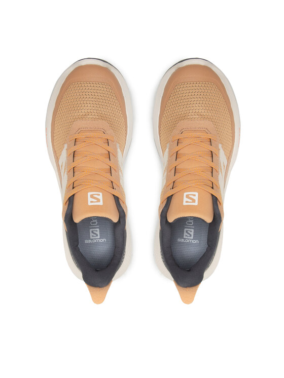 Salomon Trekking čevlji Salomon Outpulse W 416887 20 V0 Rjava