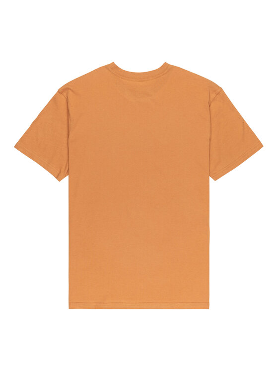 Quiksilver Quiksilver Camiseta Ev Comp Logo EQYZT08182 Beis Regular Fit