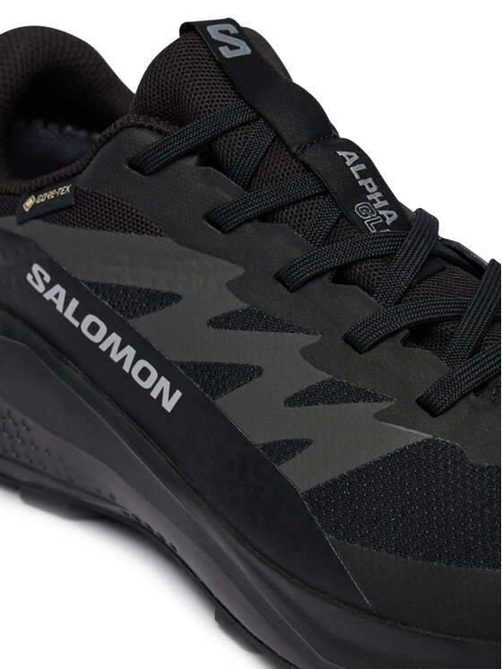 Salomon Взуття для бігу Salomon Alphaglide Gtx W L49214400 Cиній