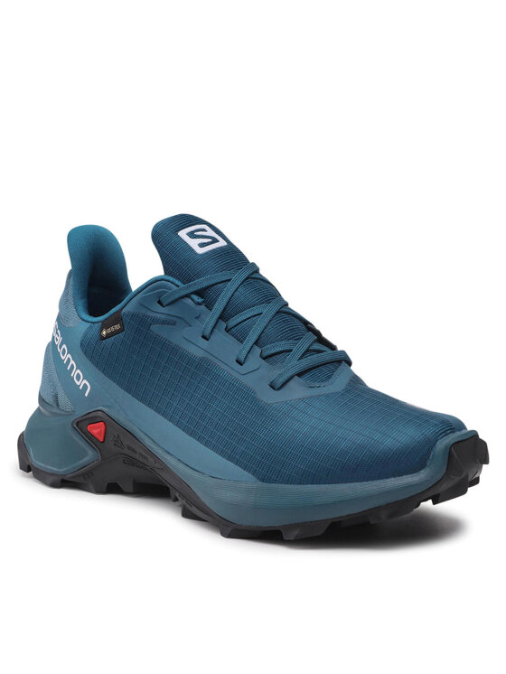 Salomon Маратонки за бягане Salomon Alphacross 3 Gtx GORE-TEX 414467 26 V0 Син
